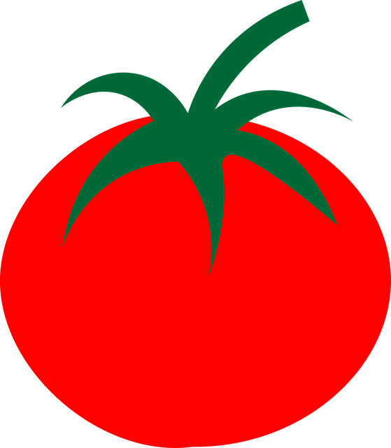 퇴촌 토마토 축제