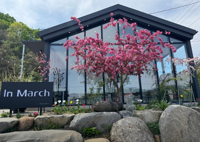 광양 매화축제 근처 맛집 현지인 추천 카페