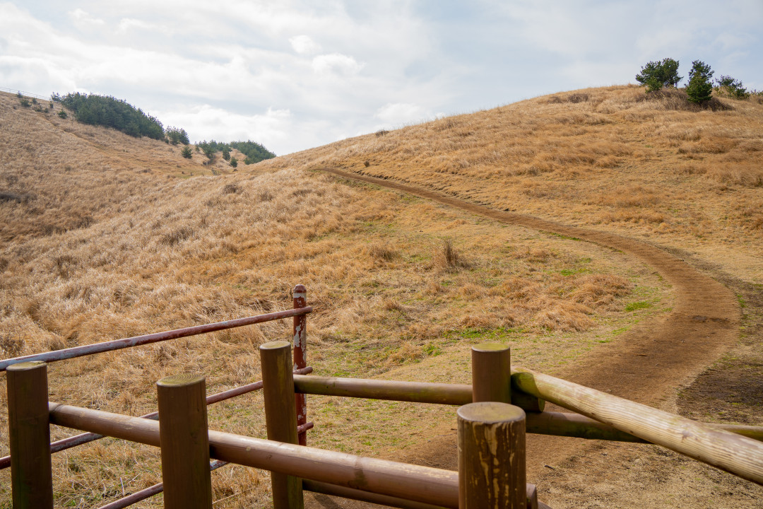 용눈이 오름 등산로
