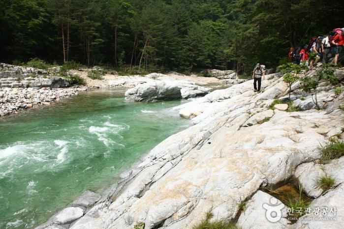 인제 백담사 트레킹 코스