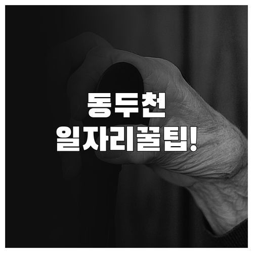 동두천시 시니어클럽 사업단 현황 및 ..