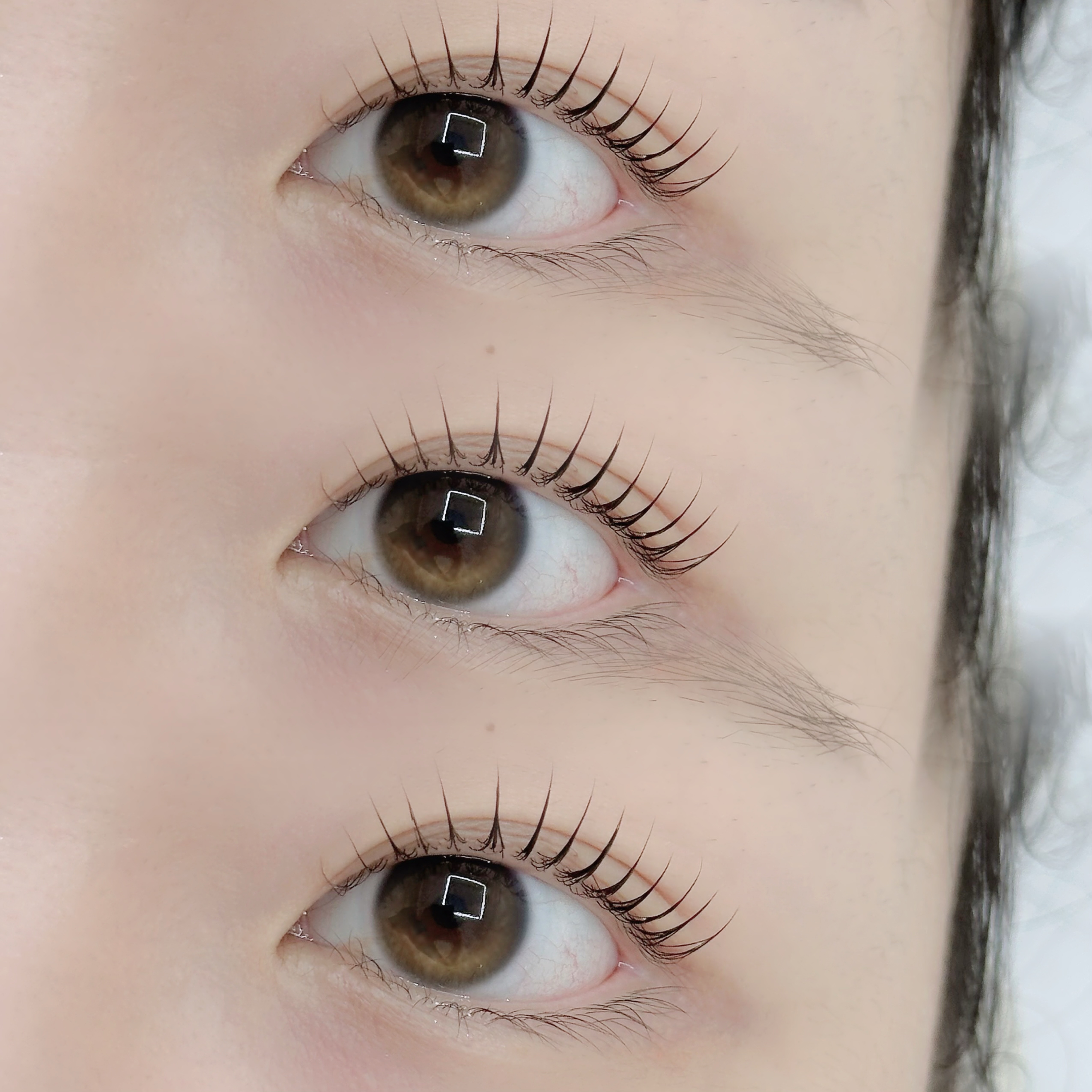 프롬빈 브로우&래쉬