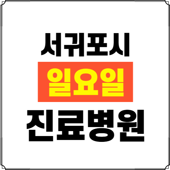 서귀포시 일요일 진료병원 찾기 ❘ 24시 휴일 주말 응급 야간 심야 문여는 병원
