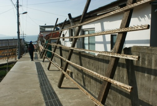 6시 내고향 통영 추도 반건조 생선 택배 주문 및 숙박예약 방법 윤성호추도물메기 (추도 배편 예약 방법)