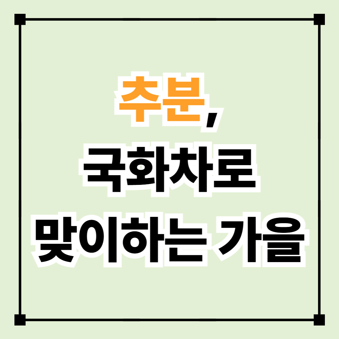 추분, 국화차로 맞이하는 가을의 시작