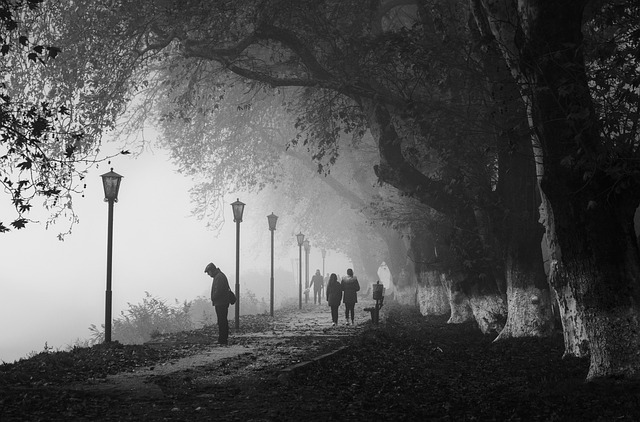 비트버니 앱 다운로드 설치