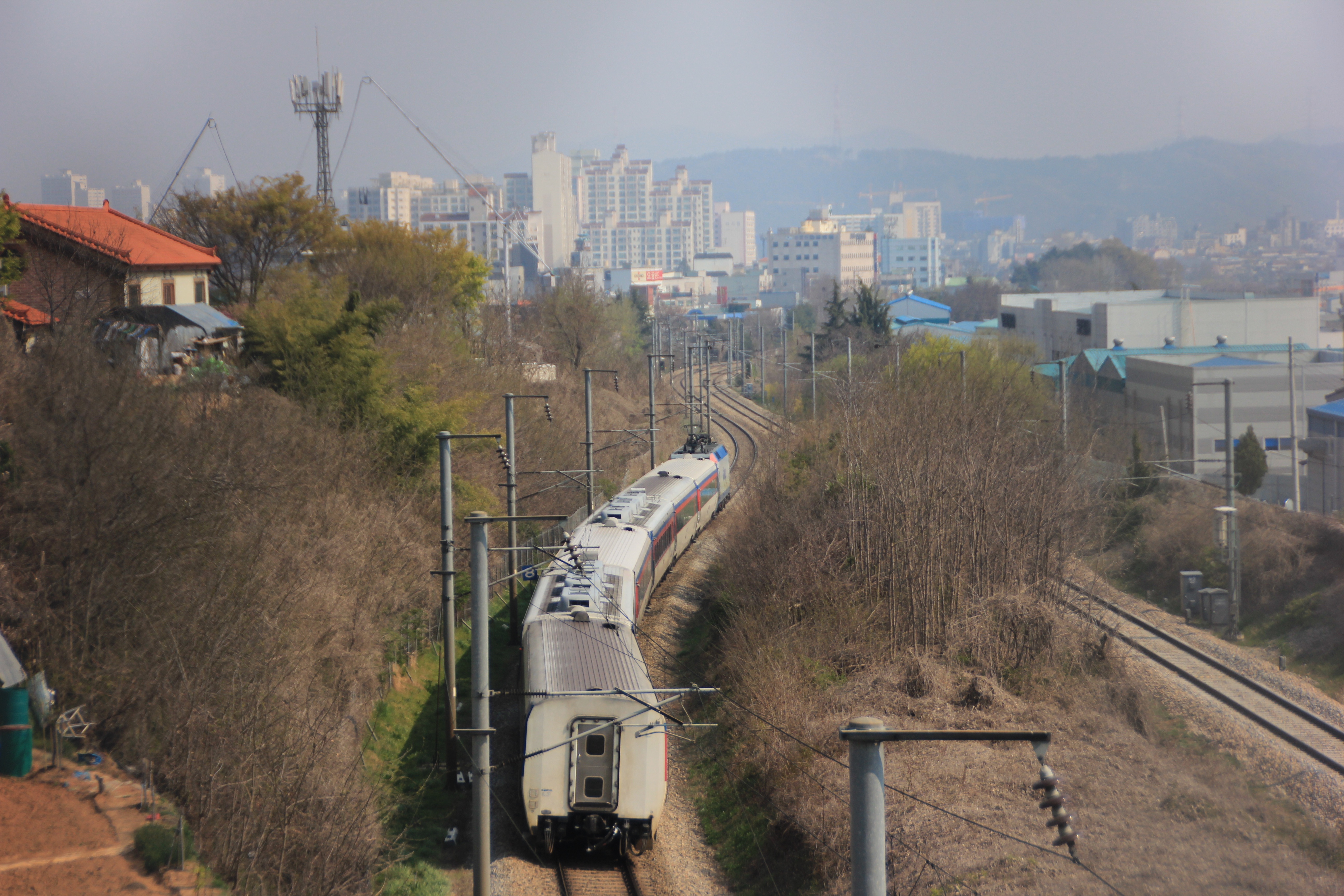 65세 이상 교통카드 발급