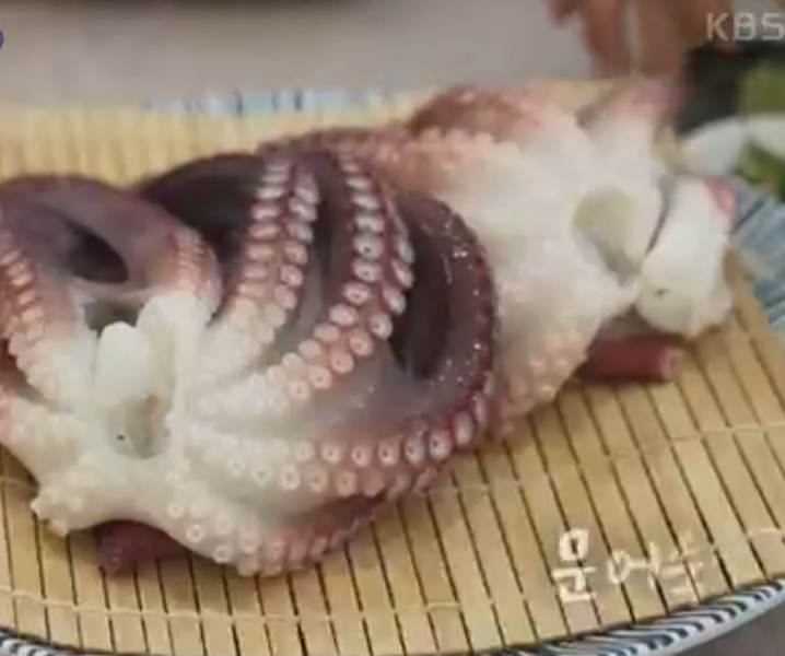 준영호 피문어