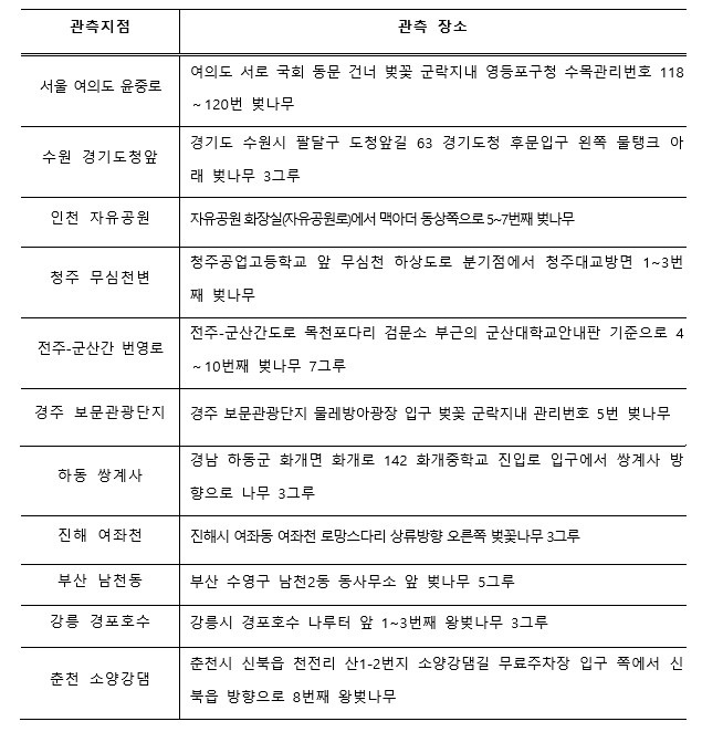 벚꽃 군락지