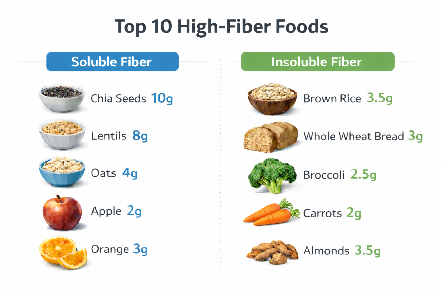 수용성·불용성 식이섬유를 구분해 상위 10개 식품과 식이섬유 함량을 g 단위로 정리한 인포그래픽