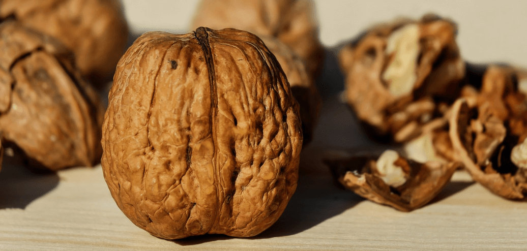 우울증에 좋은 음식 호두