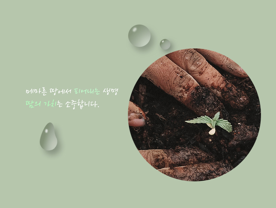 포토샵 물방울 효과 응용 이미지