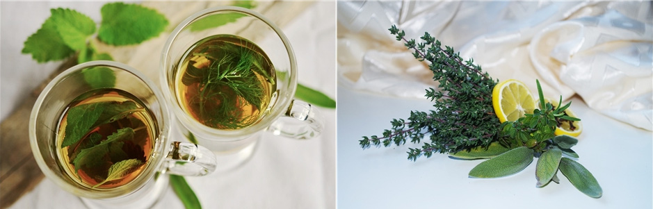 왼쪽 사진은 민트로 만든 민트차 2잔을 위에서 찍은 사진이고, 오른쪽 사진은 타임의 잎과 레몬을 편으로 썰어 놓은 것을 같인 놓아 두고 찍은 사진
