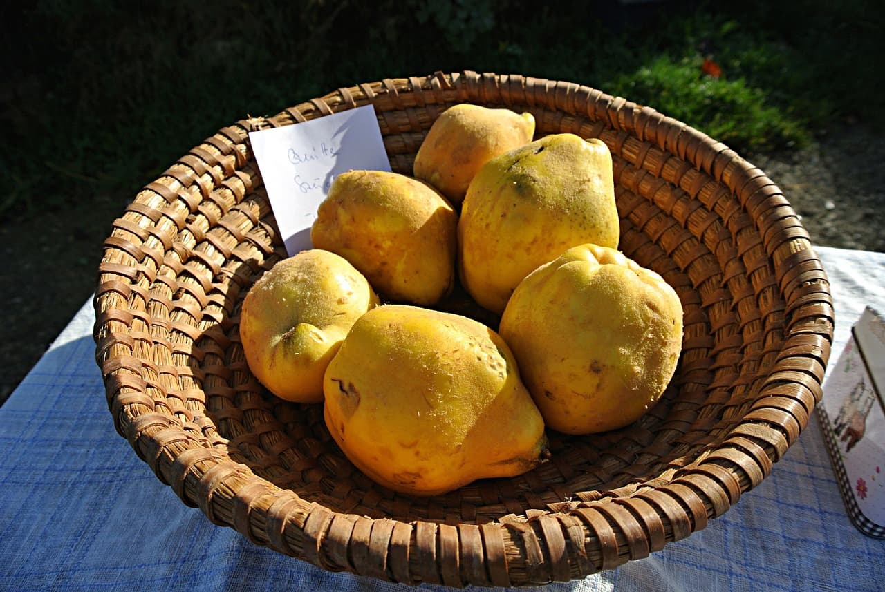 겨울 면역력 높이는 법? 소한 절기 한방차 가 답입니다