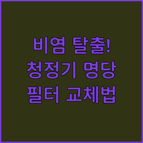 비염 관리 공기청정기 설치 위치와 올..