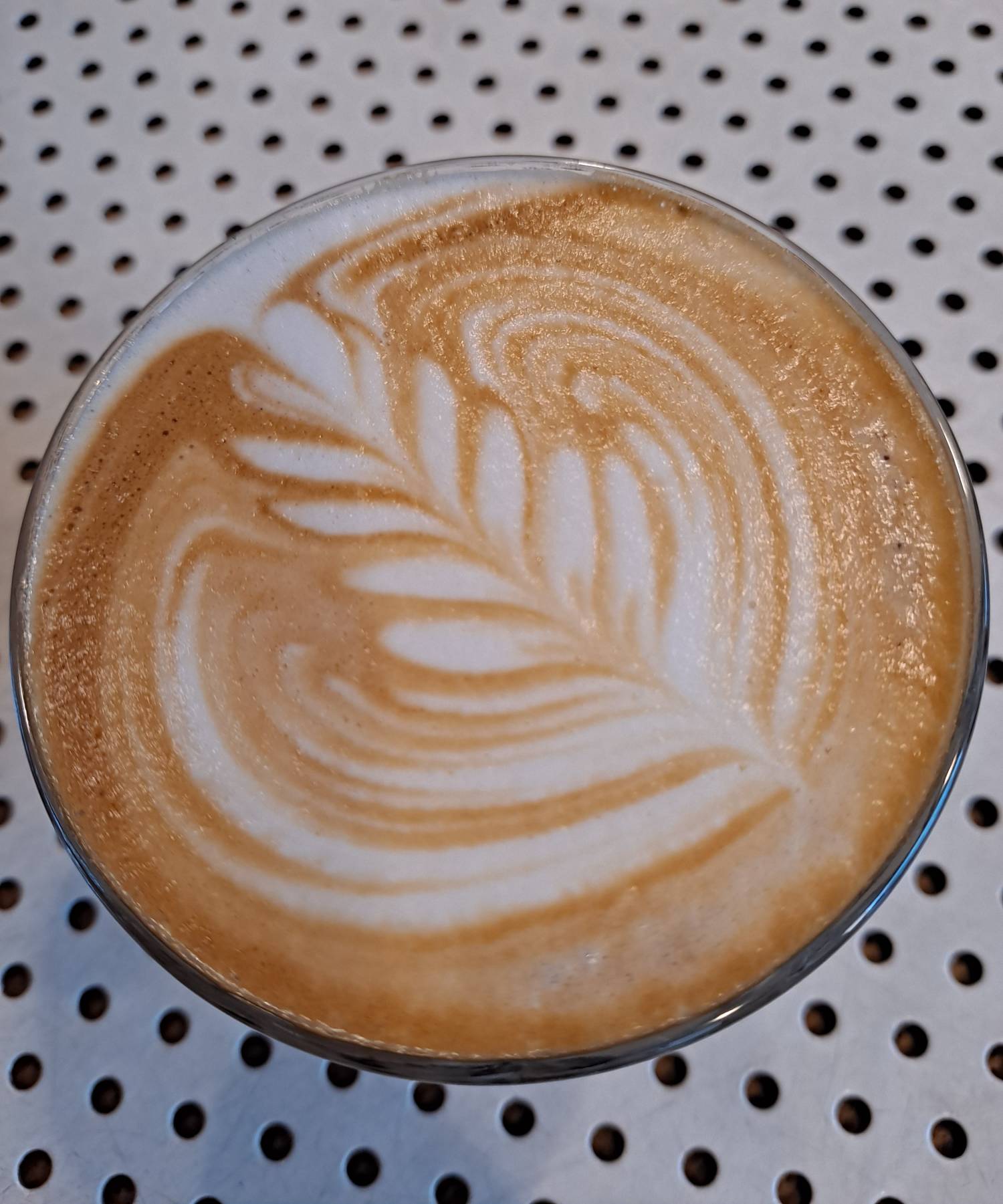 잘 그려진 로제타