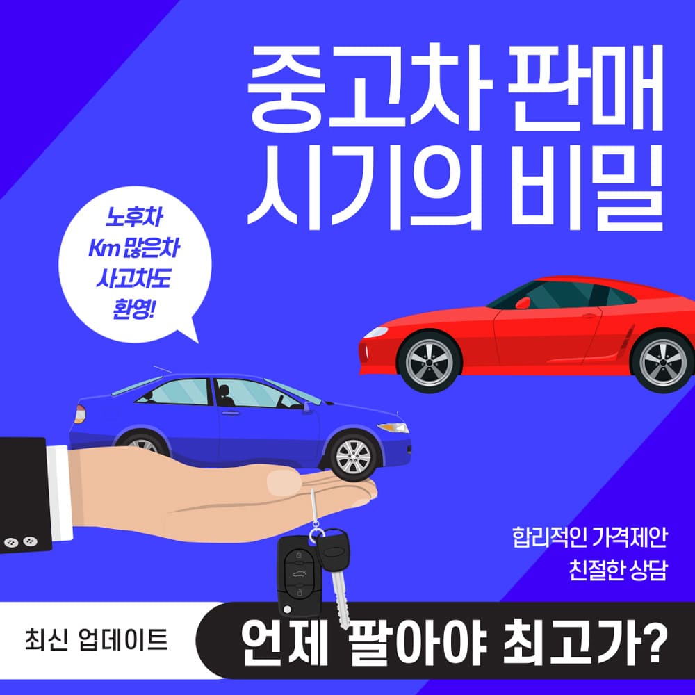 자동차-판매-시기의-비밀
