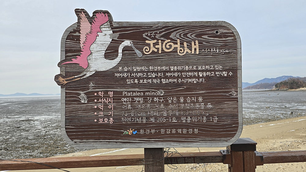 강화도 일몰 조망지11