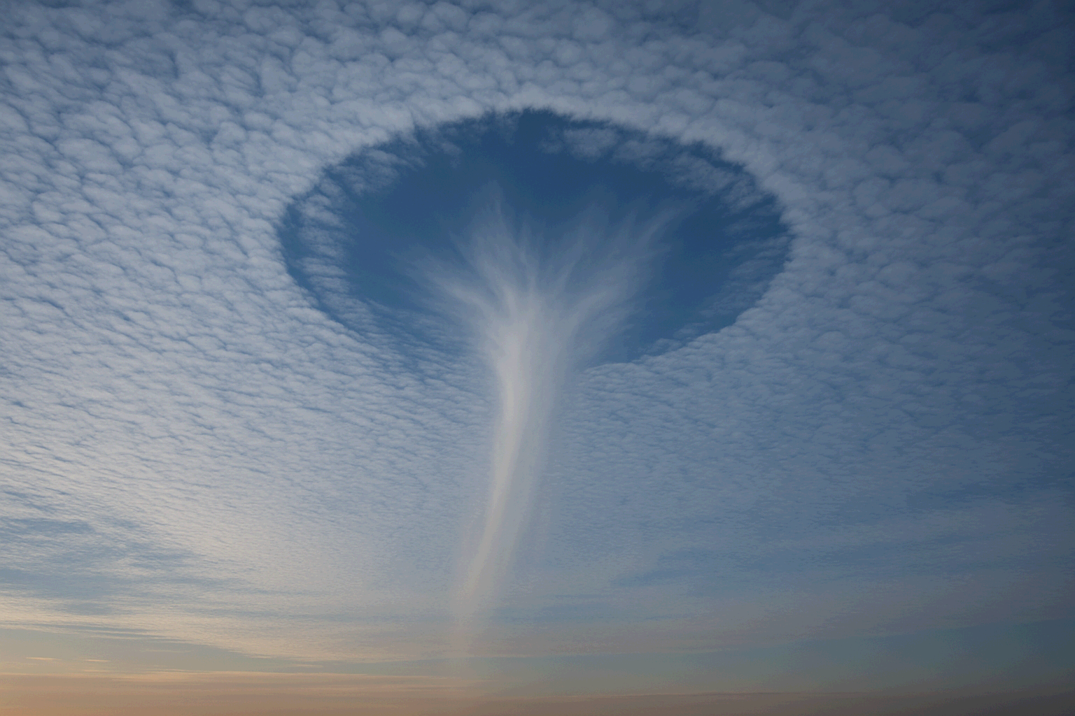 홀펀치 클라우드