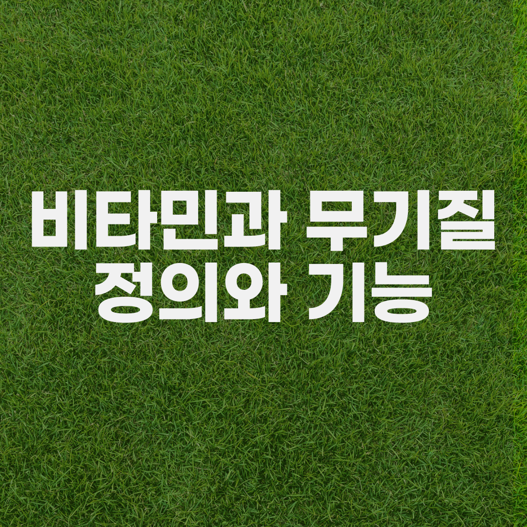 비타민-무기질-정의-기능