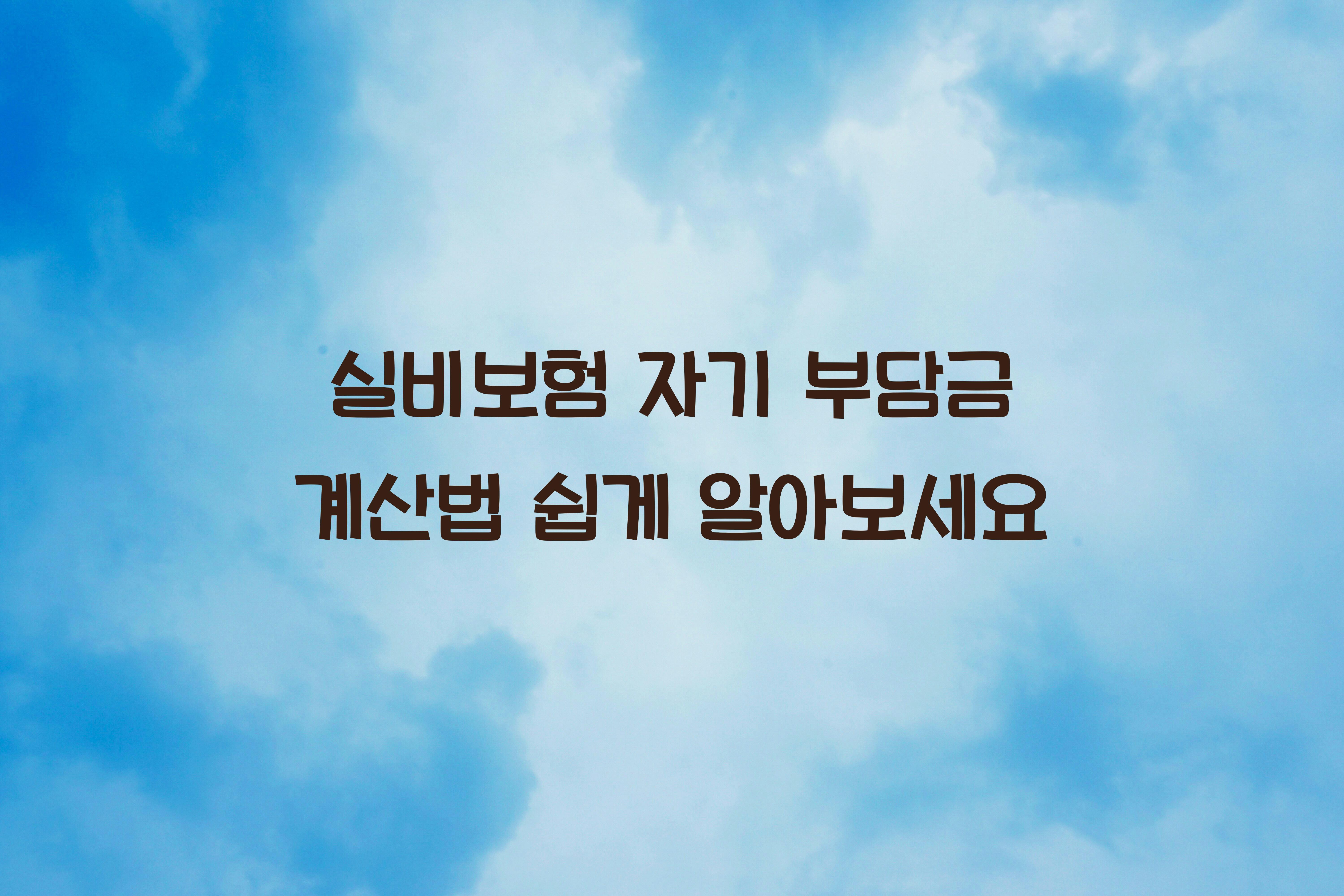 실비보험 자기 부담금 계산법