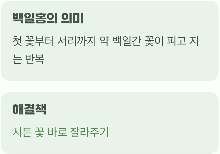 백일의 약속, 시든 꽃과의 작별