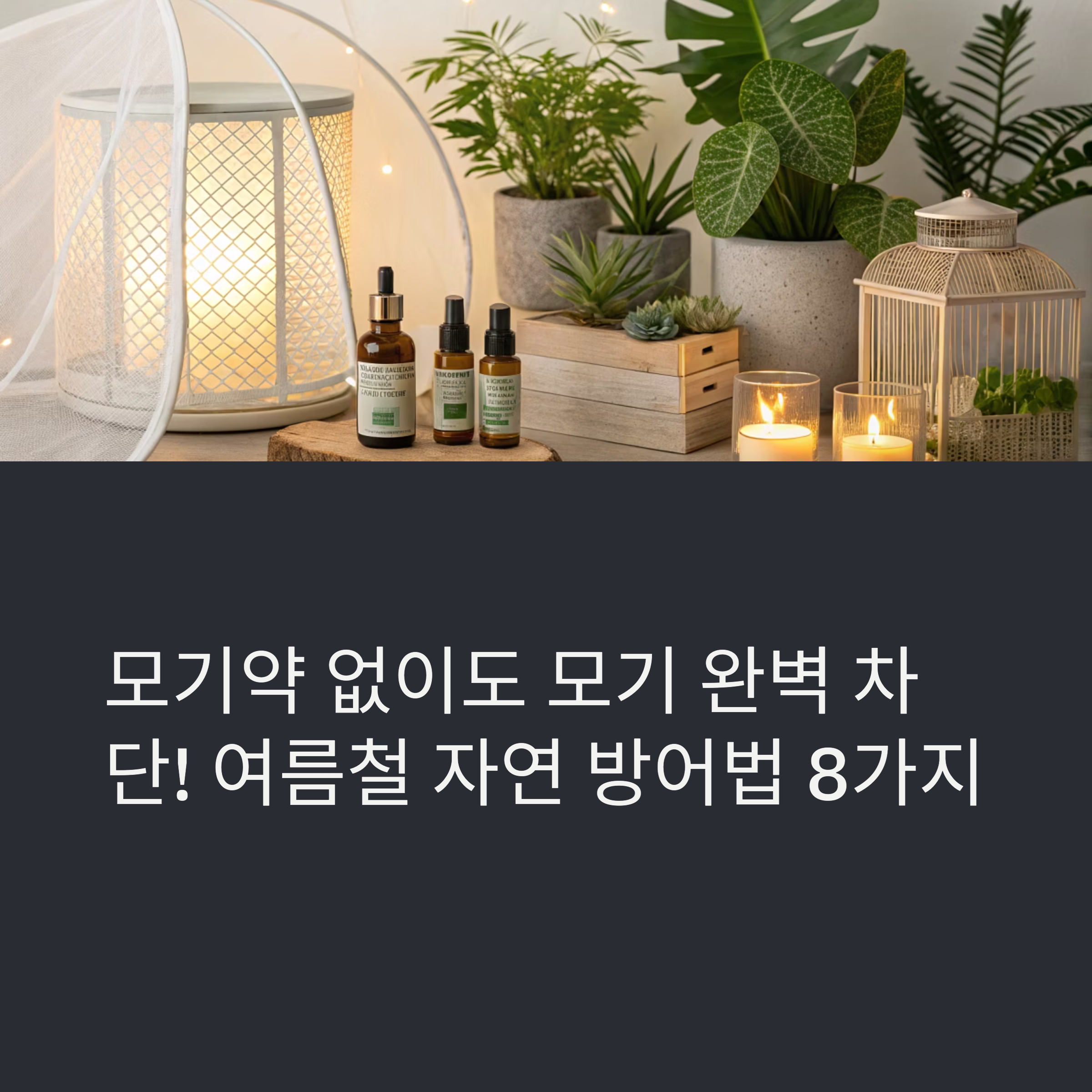 모기약 없이 모기 완벽 차단! 자연방식으로 여름을 이기는 법