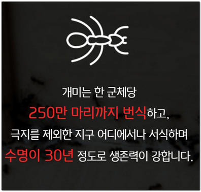 세스코 가정집 가격 (비용)알아보기