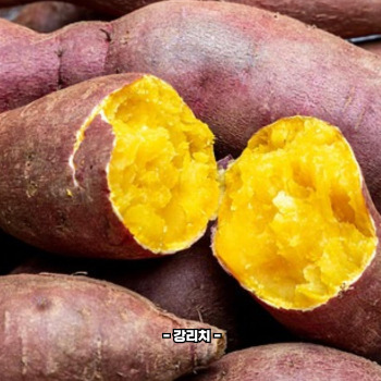 루테인 많은 음식