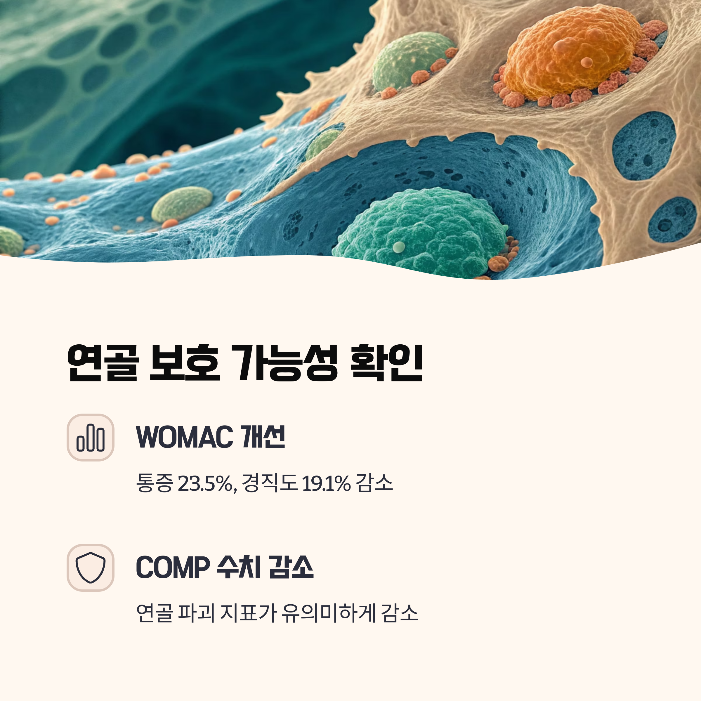 COMP 수치 감소, 연골 보호 가능성도 확인