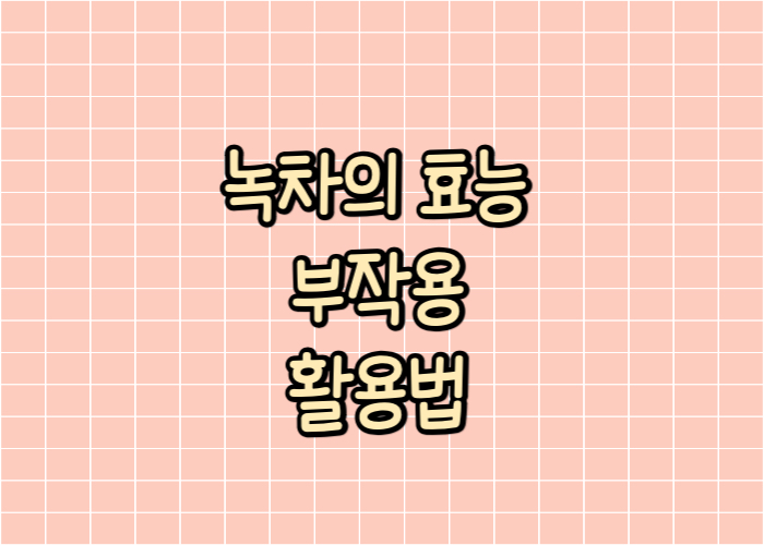 녹차의 효능 부작용 활용법 글자 대표이미지