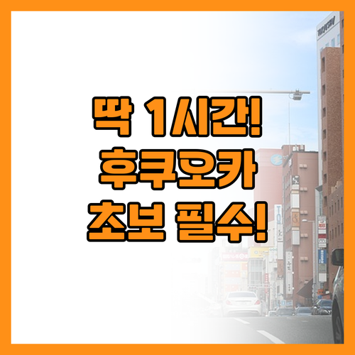 비행시간 1시간으로 즐기는 일본 초보..