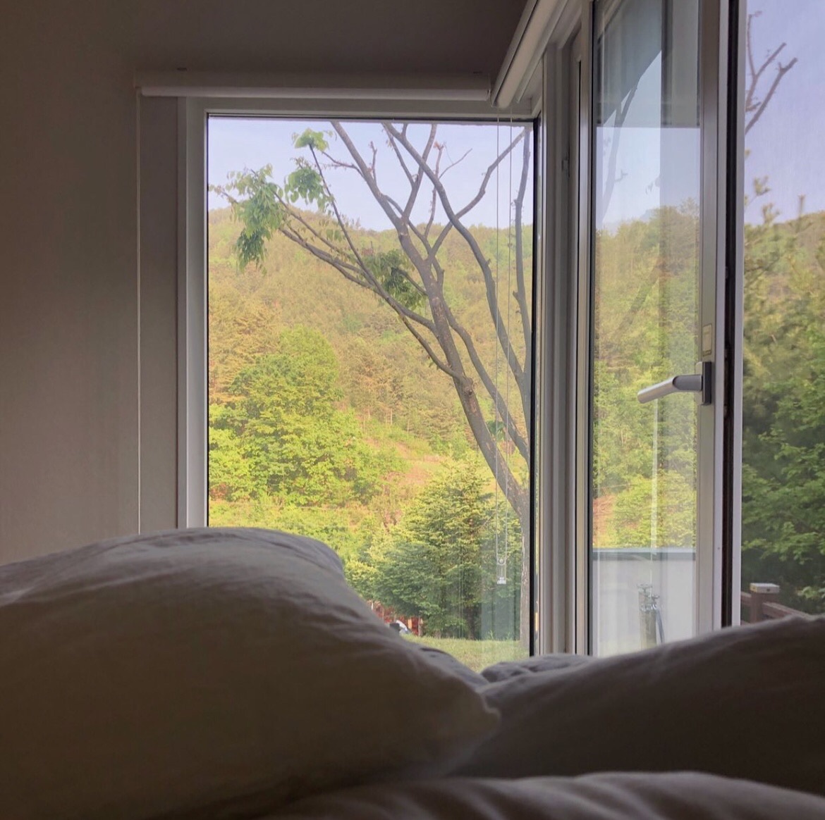 강원도 삼척 숙소 펜션 독채 곰스크