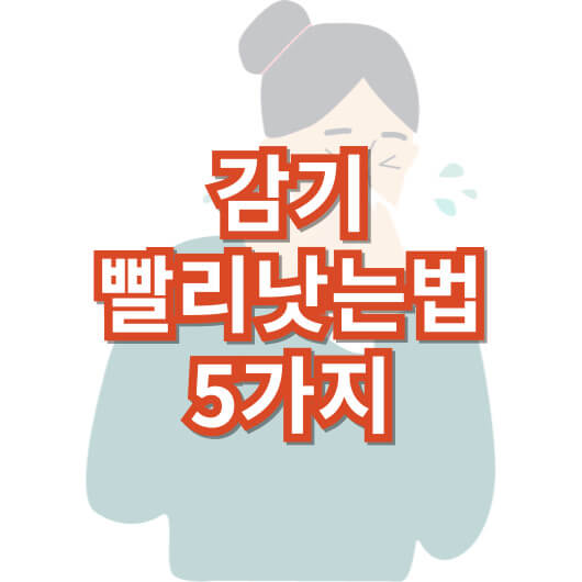 감기-빨리-낫는-법