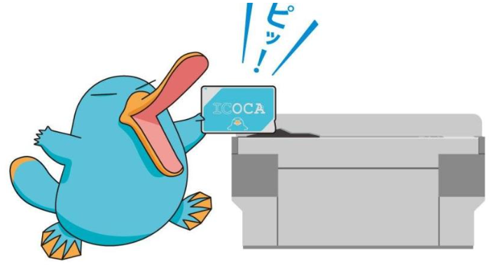 간사이 쑤르패스