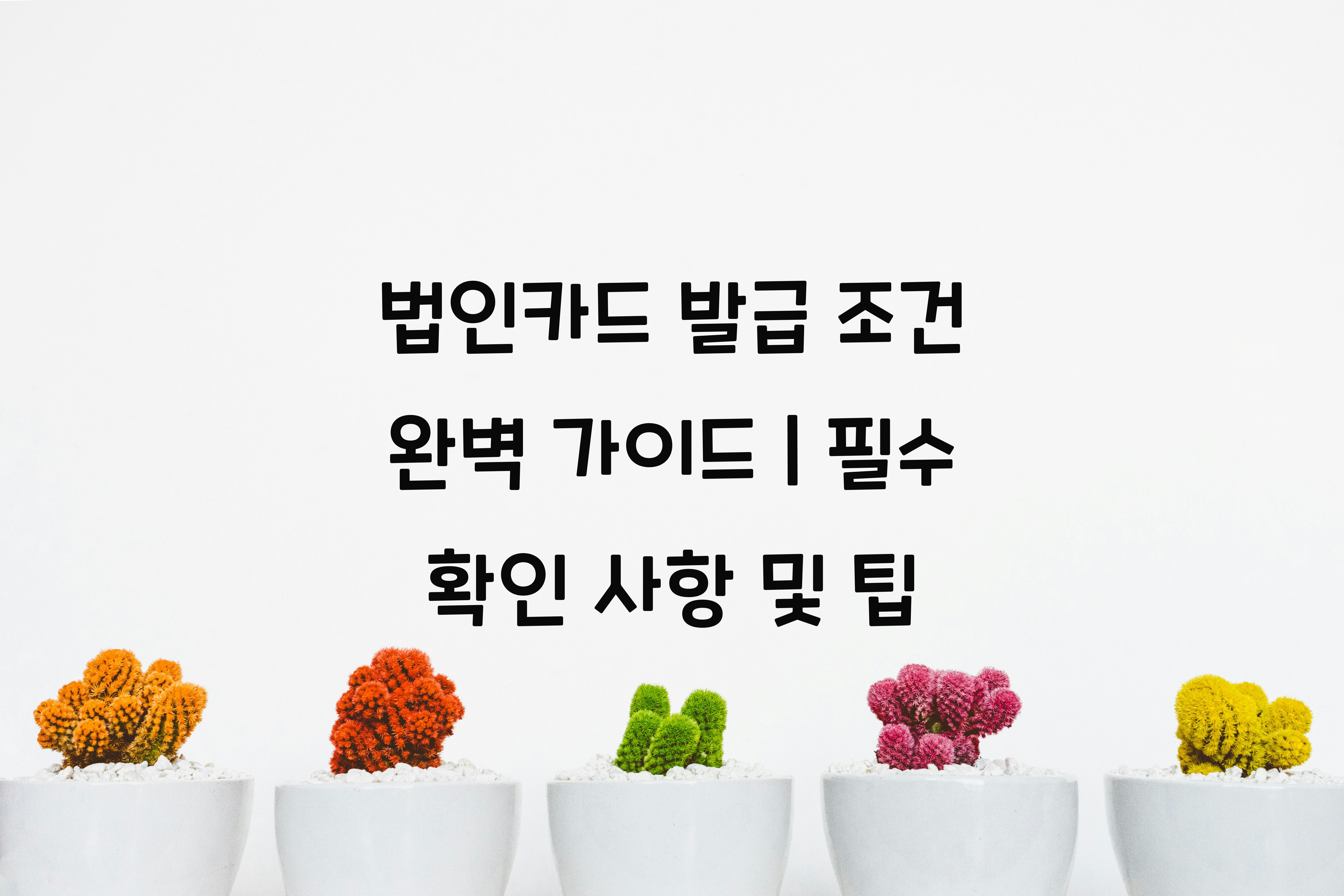 법인카드 발급 조건