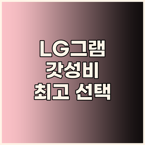 가성비 끝판왕 LG그램! 사무용, 교..