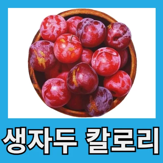 생자두 칼로리