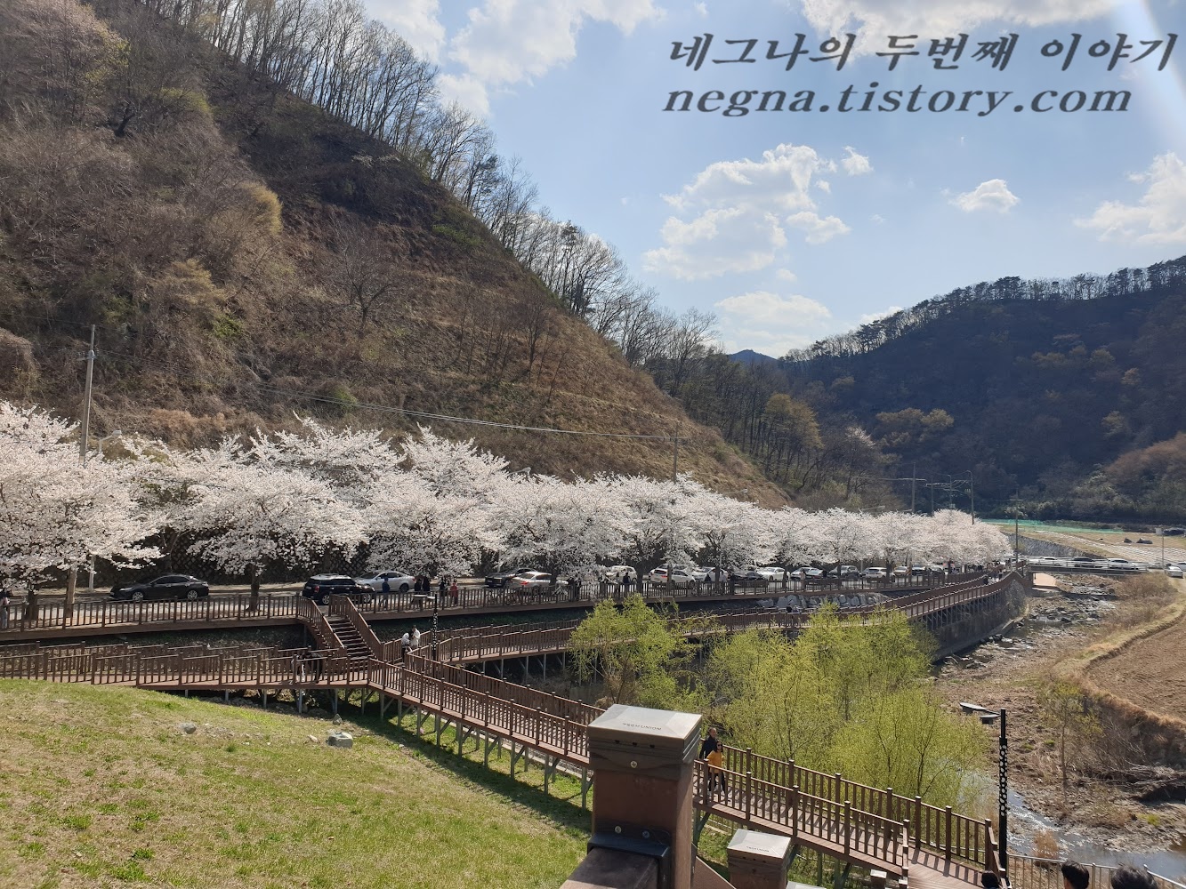 도로를 보라. 꽃과 차로.