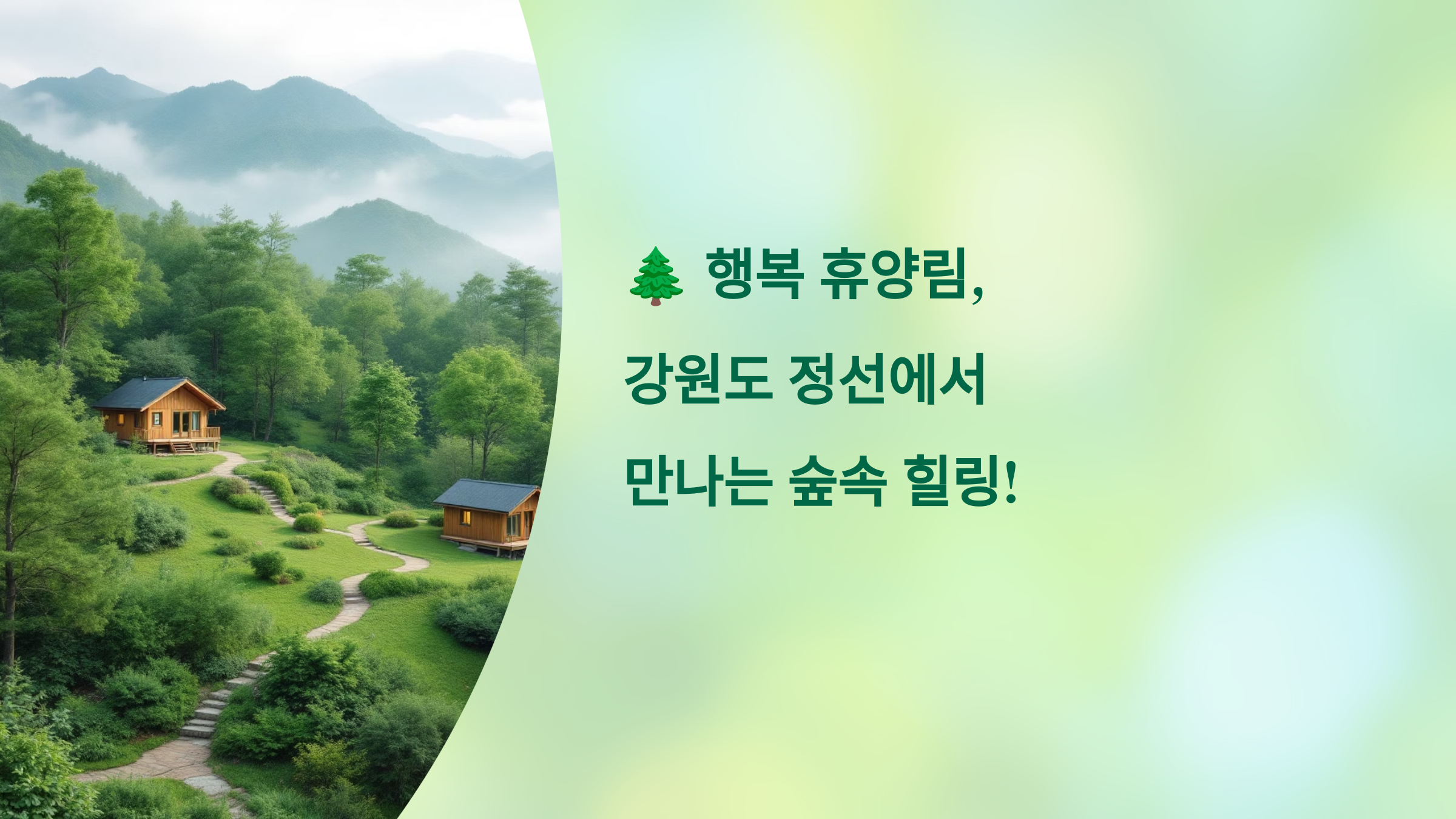 🌲 행복 휴양림, 강원도 정선에서 만나는 숲속 힐링!