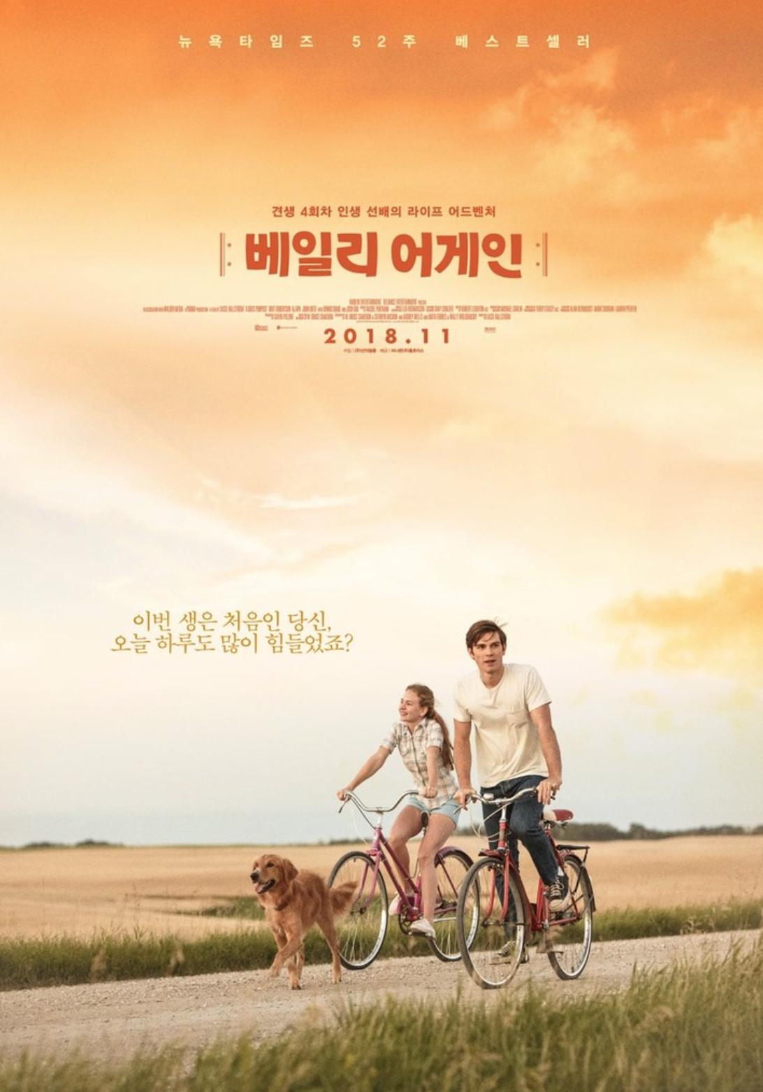영화 베일리 어게인 포스터