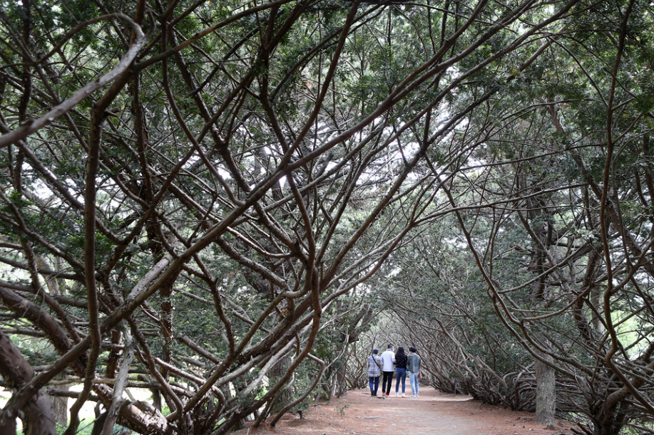 벽초지수목원 이미지