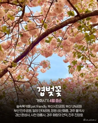 경상도 봄여행 가볼만한곳 베스트 10 완벽 여행 가이드_17