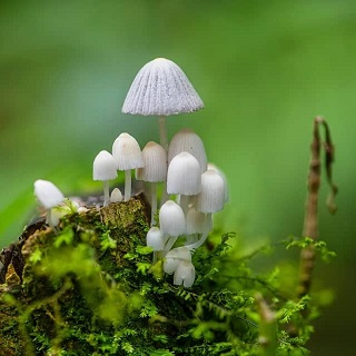 새로운 패션, 제로 웨이스트 옷 리폼으로