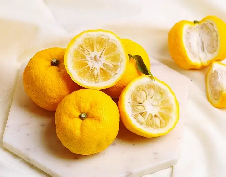 6시내고향 전남 고흥 유자 파는 곳 전국 택배 온라인 전화 주문 추천