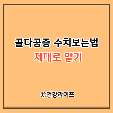 골다공증 수치보는법 총정리