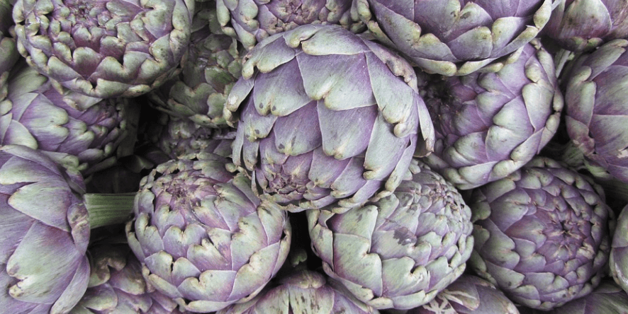 아티초크-1