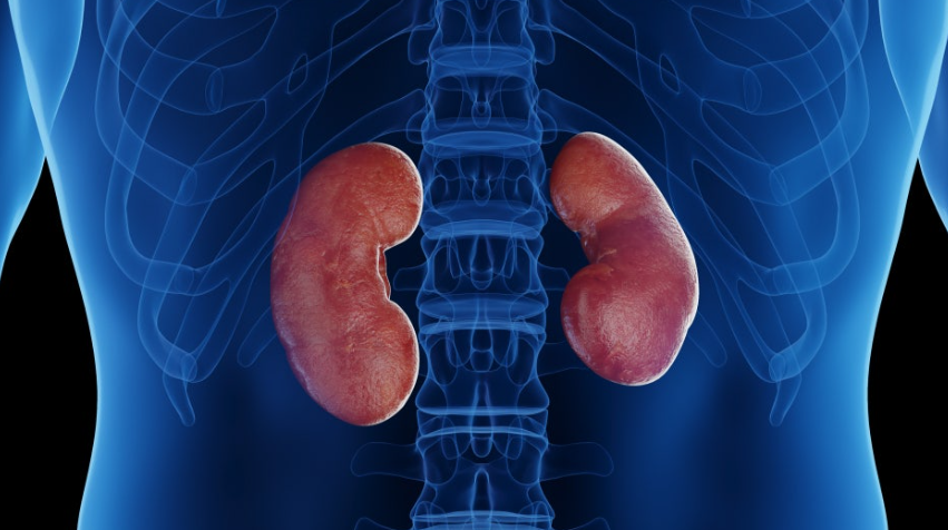 사구체신염의 증상