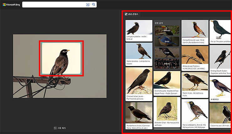 빙-이미지-선택-툴로-일부분-만-선택하여-검색