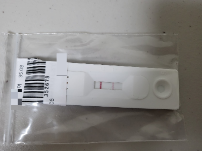 1차피검사 임신 확인